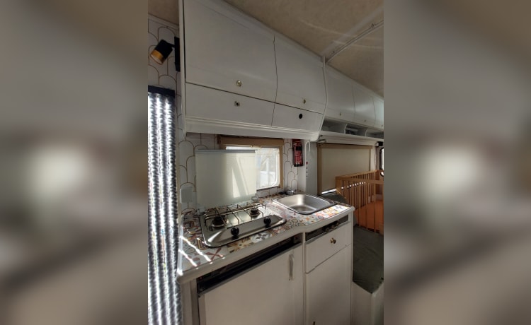 Billy – Alcôve Dethleffs (Fiat Ducato) de 1995