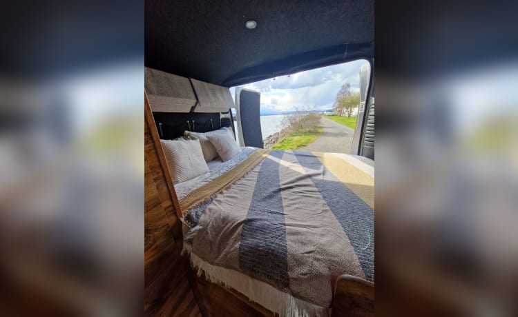 Neave – 3 berth Peugeot campervan from 2014