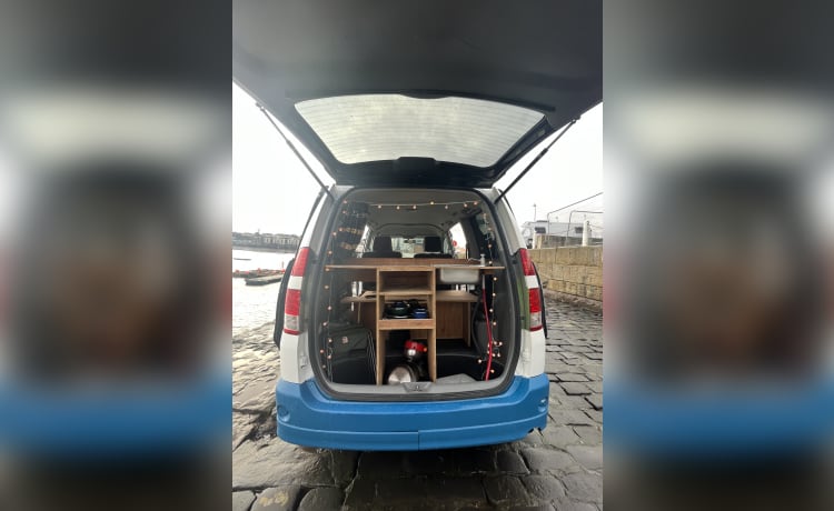 Grechik – Auto cozy van - insurance included 