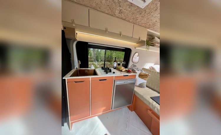 Spike – 3 berth Mercedes-Benz campervan from 2016