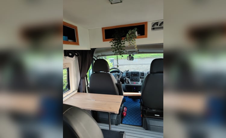 Fiat Ducato self-build bus, 2 adults + 1 child, for great adventures