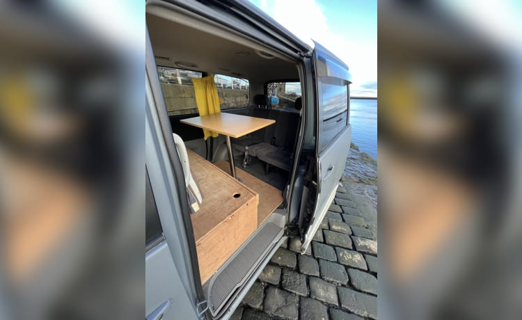 Nala – Auto cozy van - insurance included  - sleeps 2