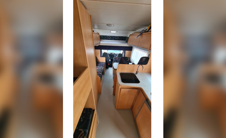 Grote Beer – 7p Chausson alkoofcamper uit 2002