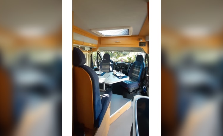 Bavaria Camp Marino – Bavaria Camp Marino : camping-car bus Fiat Ducato 2p pratique