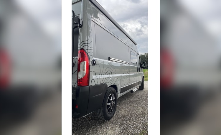 Fiat Ducato - Etrusco 600BB - 4 Pers. ab 92 € p. T. – Goboony