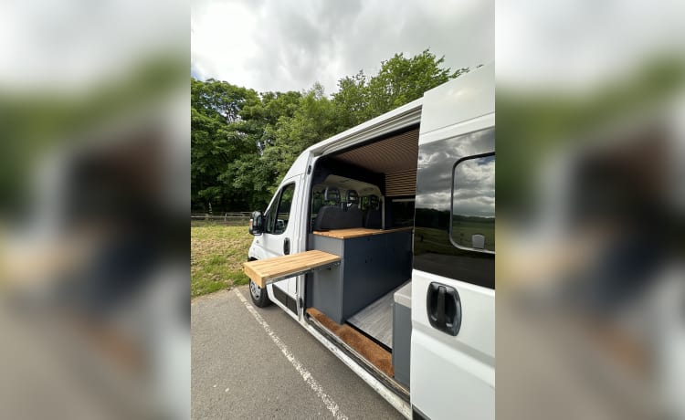 Camping-car Fiat 2 places de 2016