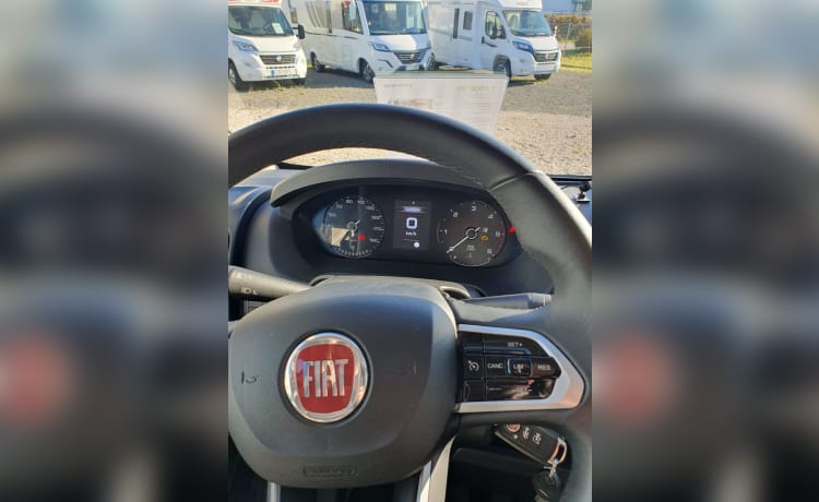 Carado T337 (3) - Camper spazioso e lussuoso per 2 persone