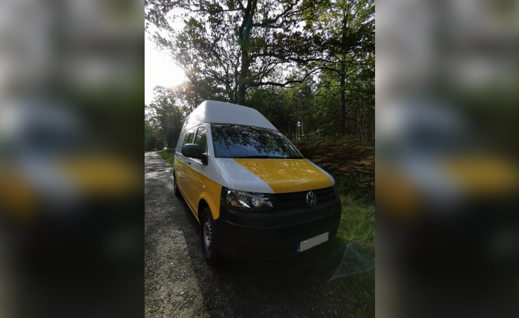 Sunny  – 4 berth Volkswagen campervan from 2015