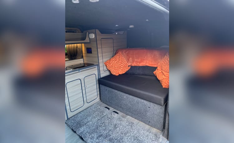 Henry – 2-persoons Ford campervan uit 2016