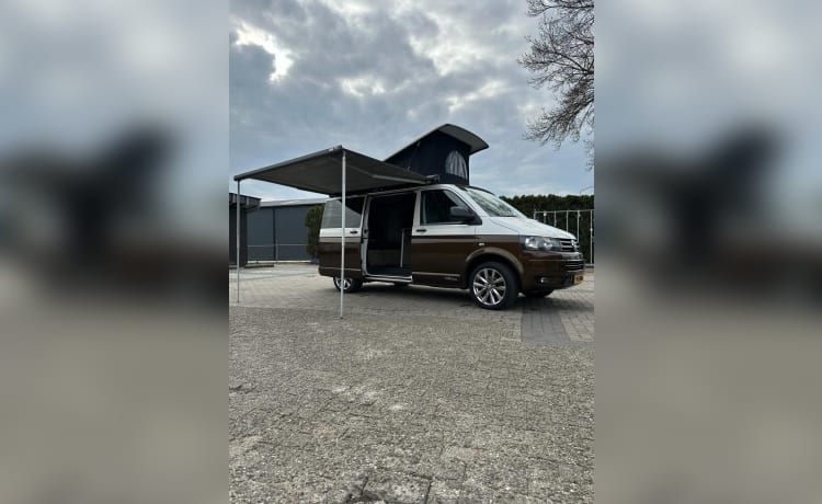 Schöner erweiterter Volkswagen T5 Camper. 180 PS