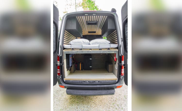 Freya – Mercedes Benz | Sprinter | 