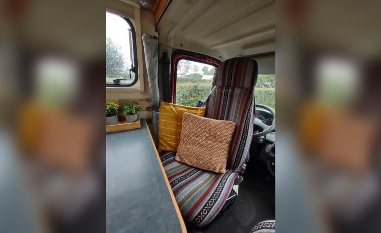 Soof – Enjoy traveling with the 2p Fiat bus camper Soof!