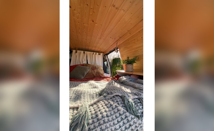 Olive – Camper Fiat 3 posti letto del 2005