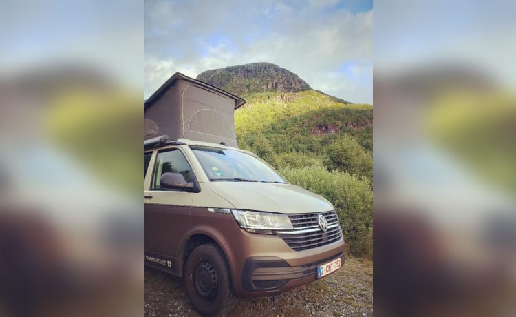 CALI Brown Grey – Volkswagen California COAST Marron/Gris Ascot (2021)