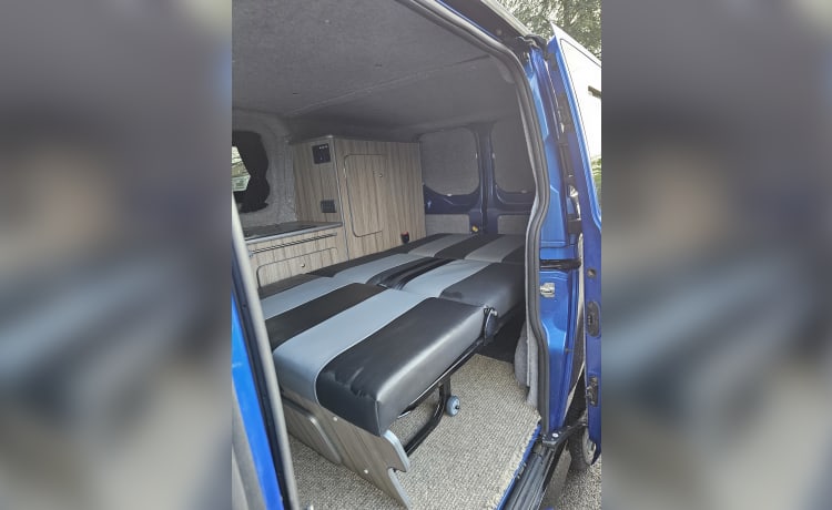 Ford aangepaste campervan 2018