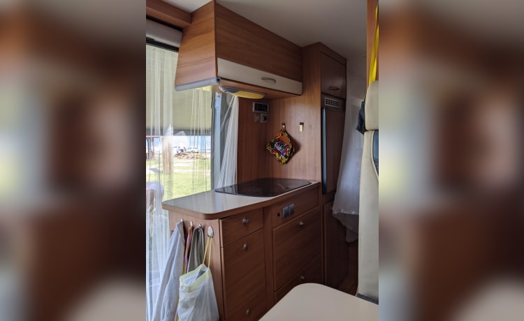 Weinsberg Bus camper of 6m for 2 people