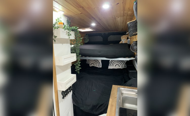 Trevor the Transit – Stealth-camper met 5 slaapplaatsen