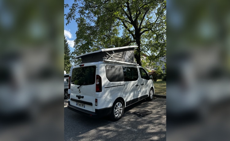 Van aménagé Renault trafic Bavaria