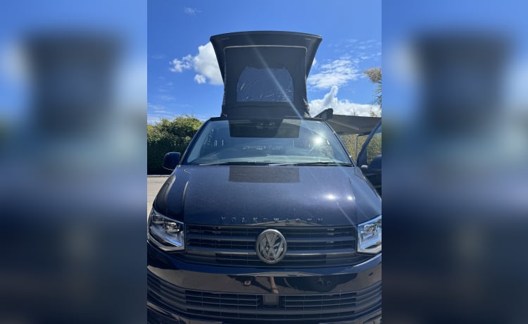 Anakin – Volkswagen Campervan met 4 slaapplaatsen - Hondvriendelijk 