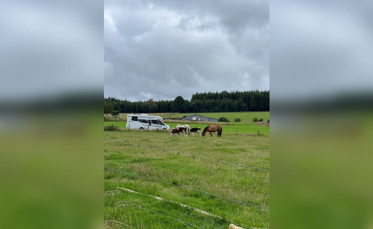 Luxe Ford Mobilhome met Dubbele 2-Persoonsbedden - Jouw Ultieme Reisgenoot!