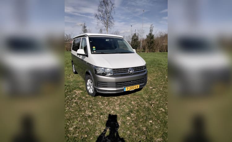 Onze trots – 2p VW Transporter T6 bus camper 2016 with brand new camper furnishings  