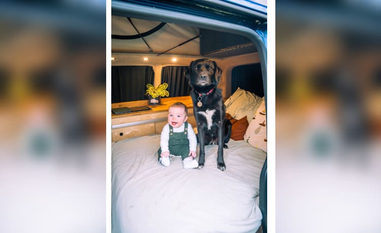 Dick Van Dyke – 4 berth bespoke VW campervan