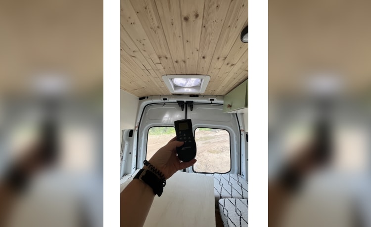 Poppy – Ford Campervan (2019) 2p + huisdier