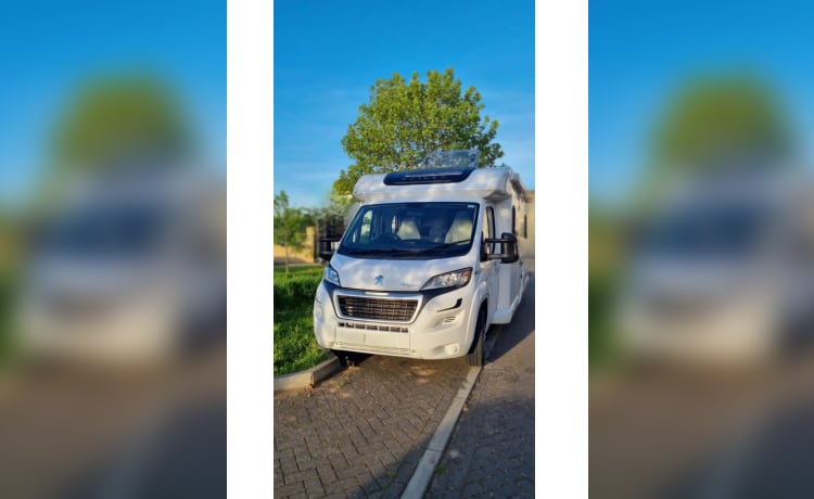 Dave – 4 berth Bailey semi-integrated from 2019