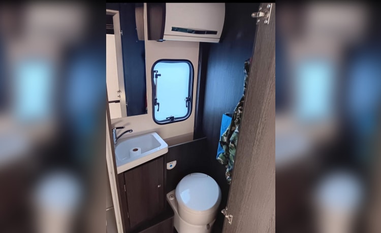 6 berth Ford alcove from 2021