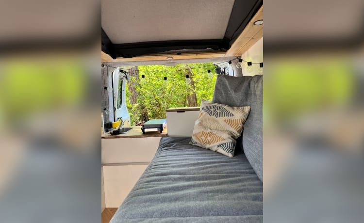 Camper Ford accogliente e compatto, off-grid