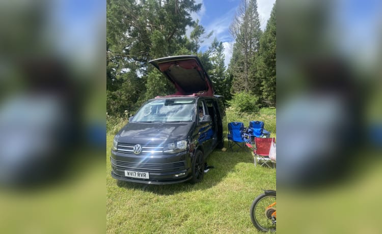 Stan – 4-persoons Volkswagen campervan uit 2017