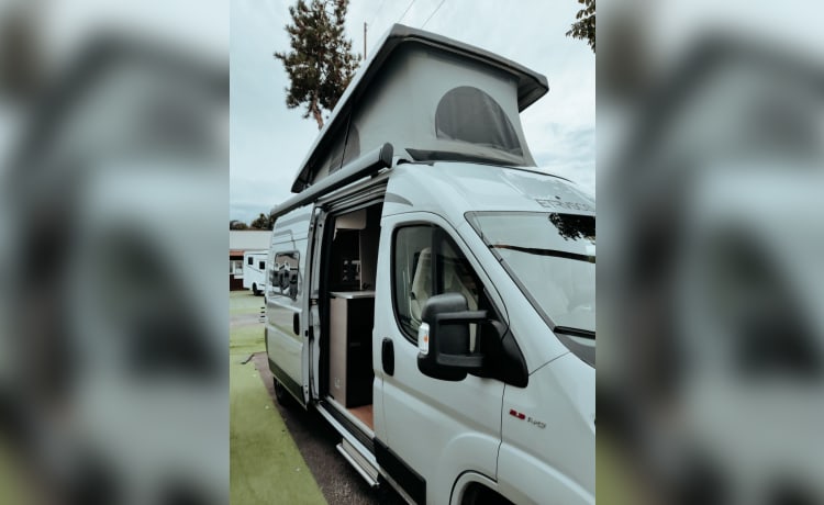 Fusco – 4-BED VAN