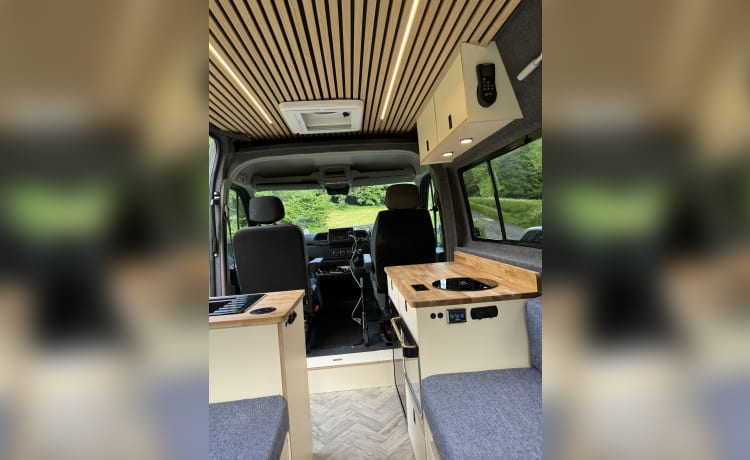 Wildtrack  – 2 berth Renault Master 