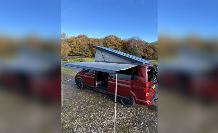 Winnie – 4-persoons Volkswagen campervan uit 2020