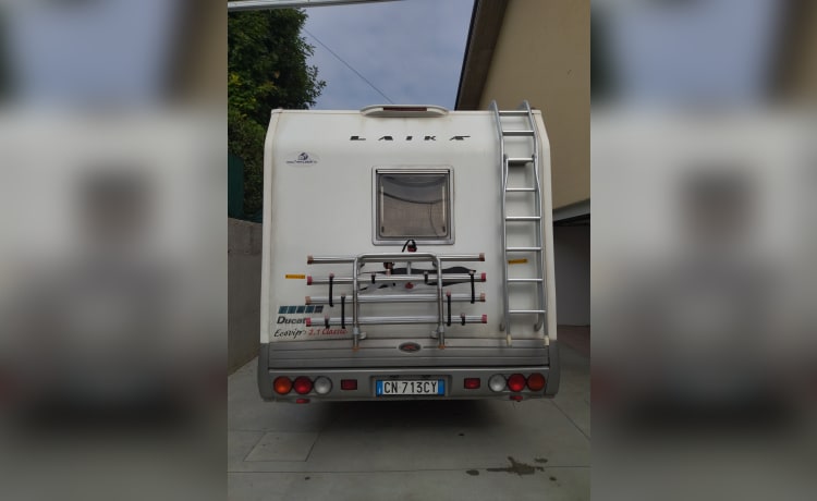 Rinus – Dachbodencamper Laika Ecovip 2.1