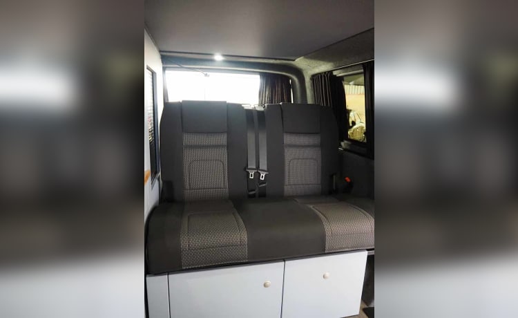 VW 4 M – Camper Volkswagen a 4 posti letto del 2024