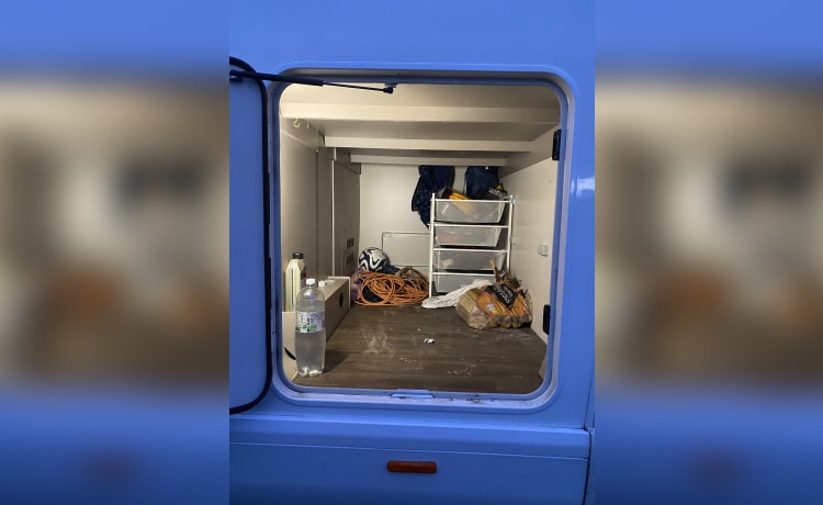 6 berth Fiat alcove from 2020