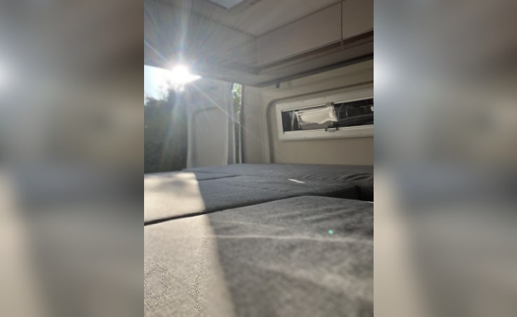 Pössl 600 – Nieuwe campervan met lengtebed