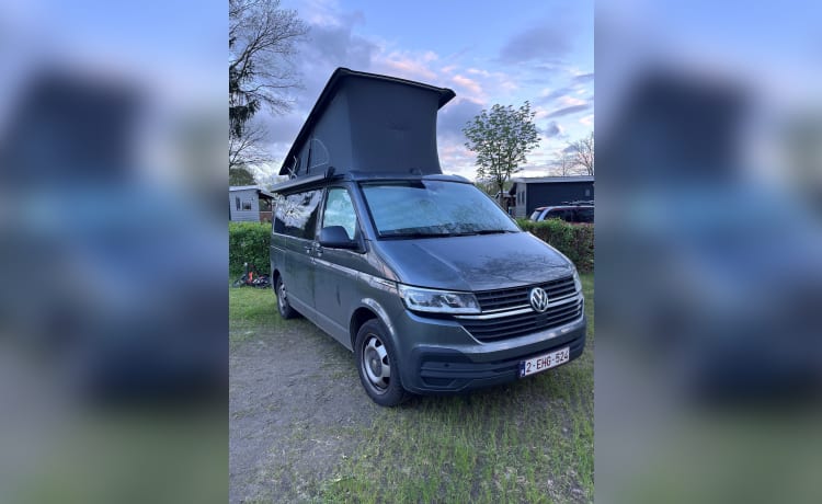 Zwitsers zakmes – Camper Volkswagen 5p del 2023