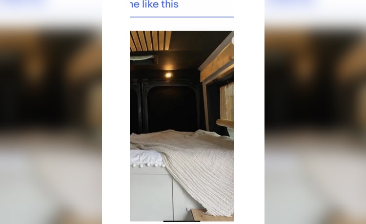 2-persoons Ford campervan uit 2016