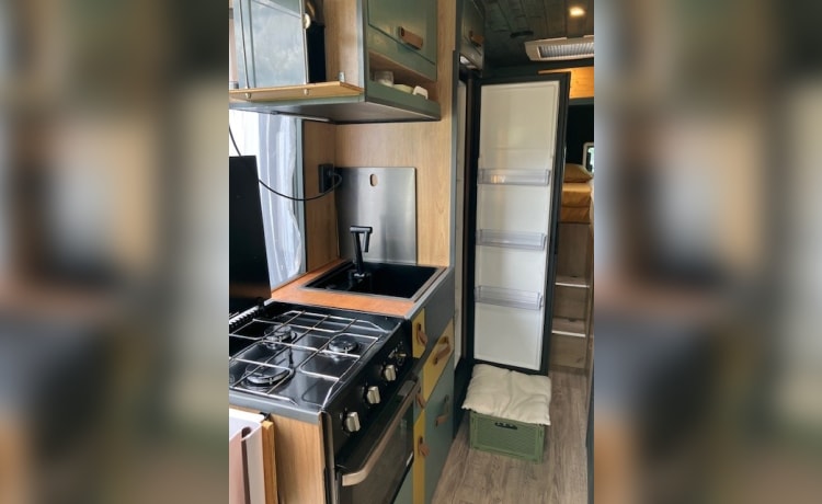 Heunie 1 – Bellissimo camper bus con 2 letti longitudinali