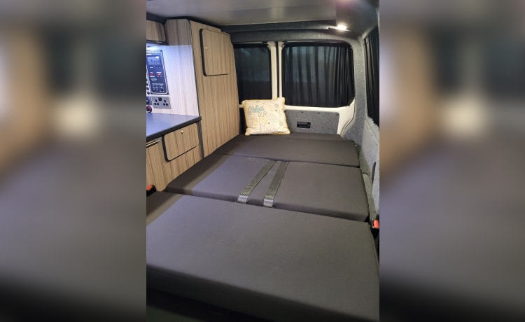 Daisy – Volkswagen campervan met 4 slaapplaatsen uit 2017