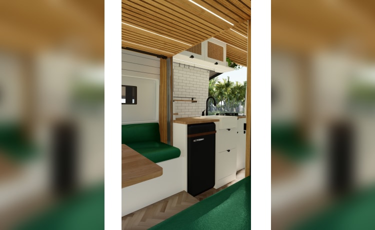 4 berth Peugeot campervan from 2023