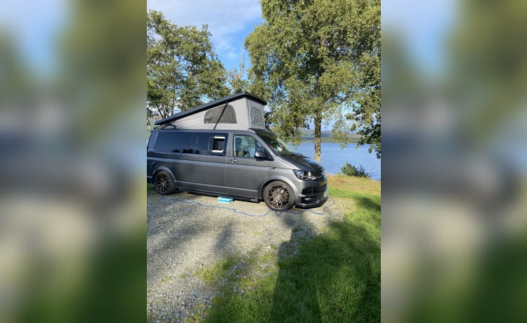 4-persoons Volkswagen campervan uit 2019