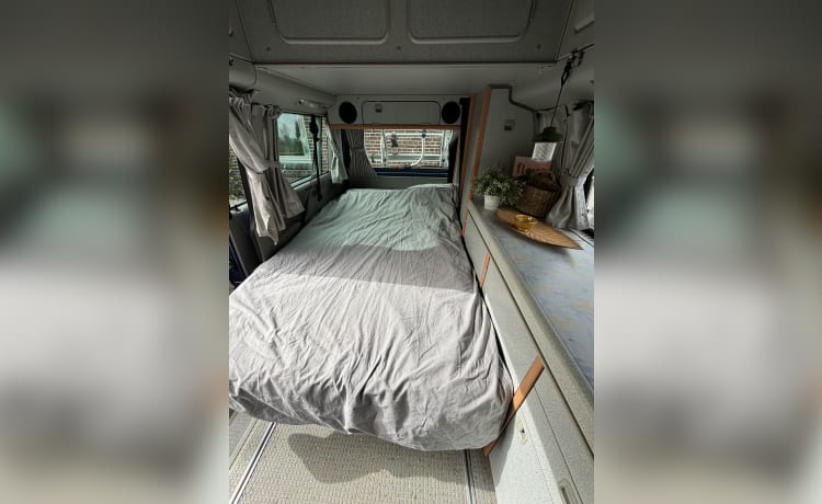 Ollie – 2p Volkswagen bus uit 1998 met airco 