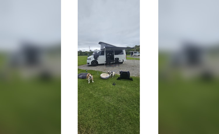 Lizzy the camperess  – 4 berth Volkswagen campervan from 2012