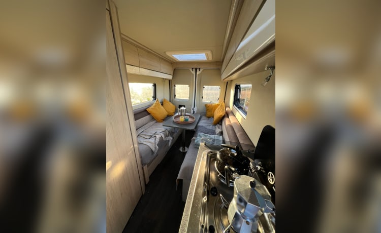 Wee Beastie – 2 Berth Luxury Campervan