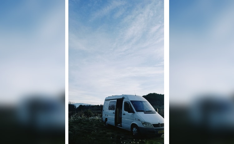 Buzzle – Discover Freedom on Wheels on our Mercedes Sprinter!