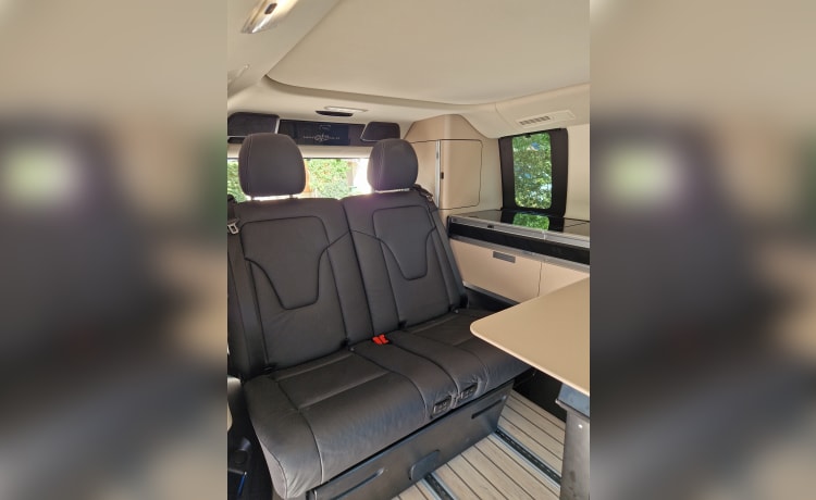 Ligne Mercedes Marco Polo 300D 4x4 AMG