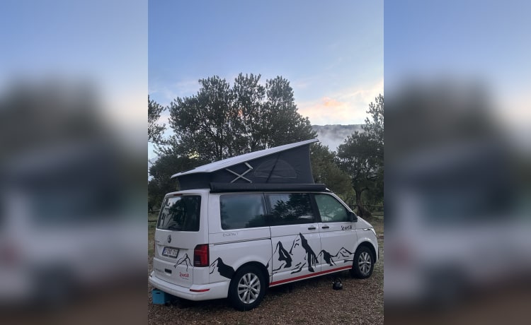 Spantik – 4p Volkswagen California campervan uit 2022